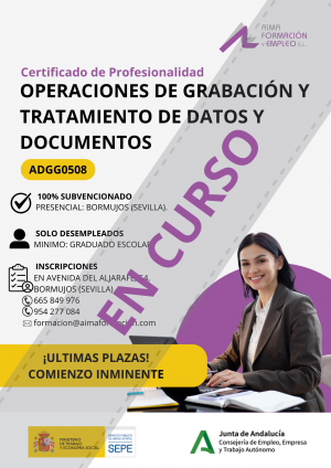 OPERACIONES DE GRABACIÓN Y TRATAMIENTO DE DATOS Y DOCUMENTOS (ADGG0508) -BORMUJOS (SEVILLA)